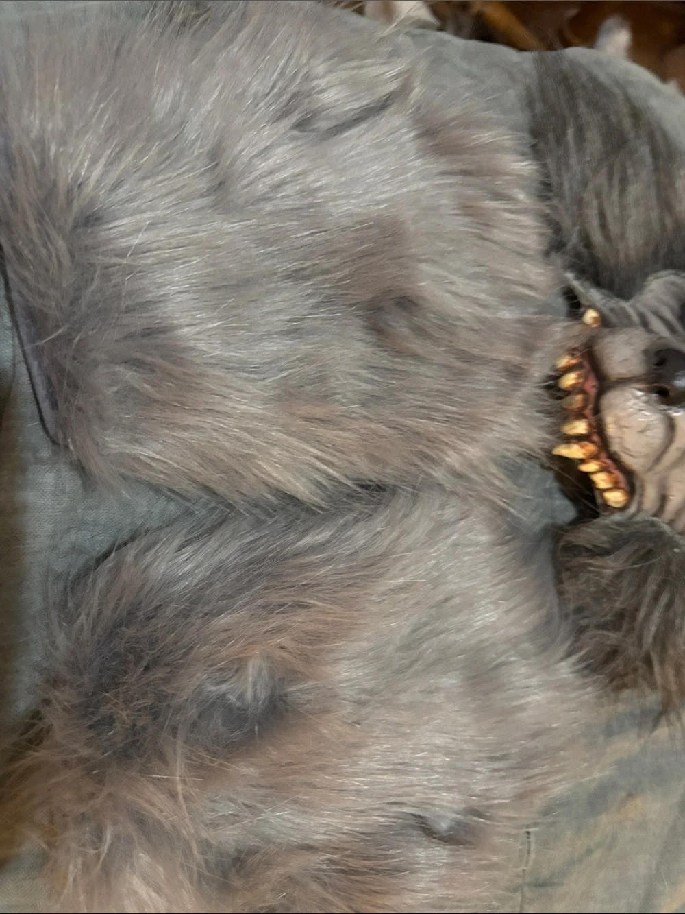 N/A scary werewolf